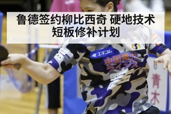 鲁德签约柳比西奇 硬地技术短板修补计划