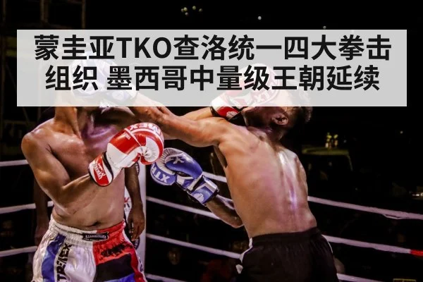 boxer body punch